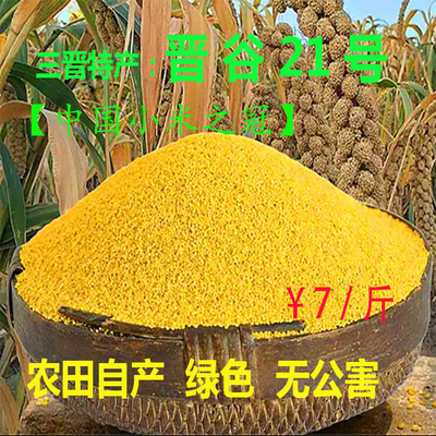 中国小米之冠 晋谷21号 黄土高坡精选小米 煮粥必备 包邮五斤起发