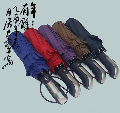 【天天特价】10股全自动雨伞超大双人商务伞男女通用长柄雨伞折叠