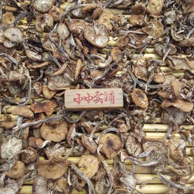 250g 东北长白山山珍特级野生榛蘑干货 小鸡炖蘑菇 正宗宽甸特产