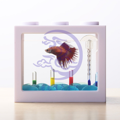 小鱼缸超白迷你缸办公桌面简易斗鱼缸透明创意小型斗鱼鱼缸生态瓶