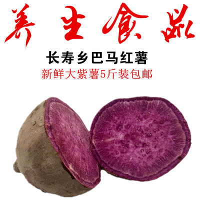 正品广西巴马红薯紫薯黄心红薯番薯地瓜香糯新鲜蔬菜农家自种包邮