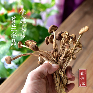食御记 古田 纯天然特级新鲜茶树菇干货不开伞 农家自产干货 250g