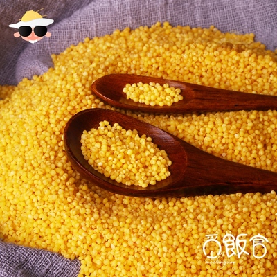 觅饭官 东北特产杂粮农家红谷小米真空包装食用月子米500g小黄米