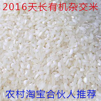 安徽8实惠新安商贸农家自种2016新米糖尿病患者用米低糖杂交1斤