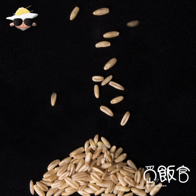 觅饭官 东北农家优质燕麦米燕麦仁麦粒有机养生杂粮天然非转基因