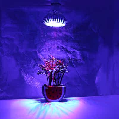 全光谱LED植物生长灯种植灯多肉花卉蔬菜补光灯12W瓦开花结多肉类