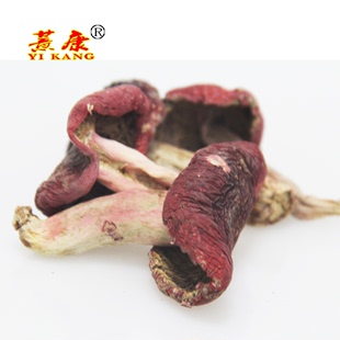 优质宁化客家红菇干货红蘑菇红椎菌红磨菇红菌土特产 500克养生