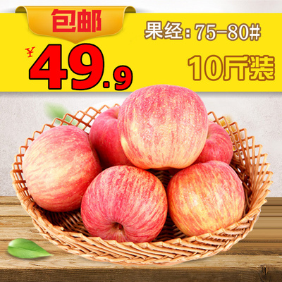 陕西白水新鲜纯天然有机苹果非烟台王小二洛川红富士24粒10斤包邮