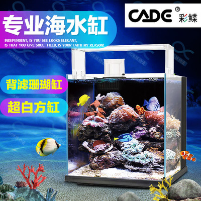彩鲽CADE2017年新款彩蝶海水背滤鱼缸超白珊瑚鱼缸水族箱桌面客厅