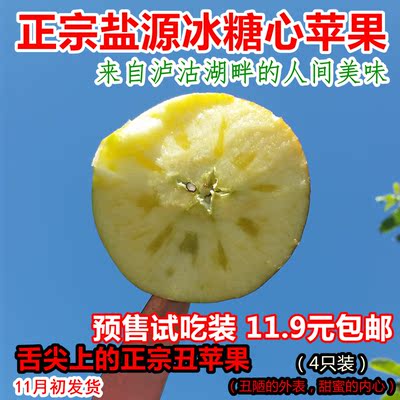 四川盐源苹果新鲜水果富士苹果酥脆甜多汁试吃装4只