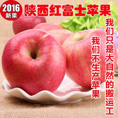 秦岭山下人家2016年陕西优质农家自产红富士套袋洛川苹果10斤包邮