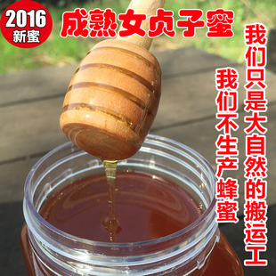 秦岭山下人家2016新蜜农家自产自销天然女贞子蜂蜜土蜂蜜500g包邮