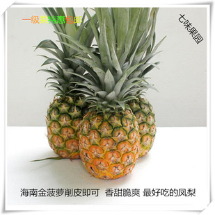 海南三亚新鲜水果凤梨金菠萝比菠萝蜜 台湾16号更好吃10斤包邮