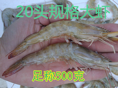 大对虾500g新鲜活海虾对虾鲜虾野生活海鲜烧烤美味必备好营养