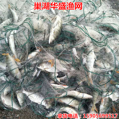 三层渔网粘网1.5米2米3米4米高白丝网沉网捕鱼网挂网底网鲫鱼网