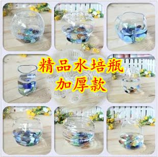 透明水晶玻璃花瓶水培花卉专用水培瓶绿萝风信子专用玻璃瓶加厚型