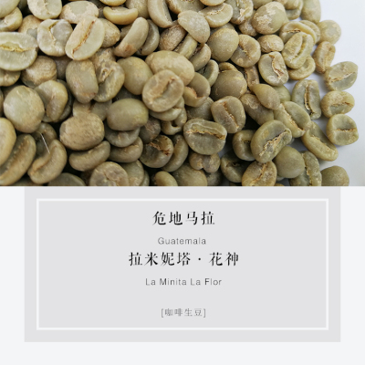 咖啡豆生豆 危地马拉安提瓜拉米妮塔庄园花神SHB精品咖啡豆 1kg