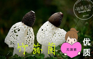 竹荪竹笙天然竹笙新鲜竹荪菌 蘑菇盒魔法蘑菇可爱蘑菇