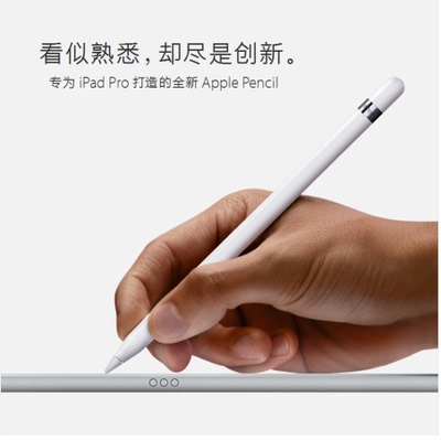 苹果Apple ipad Pencil Pro专用手写压感触控 电容笔 画笔 数码