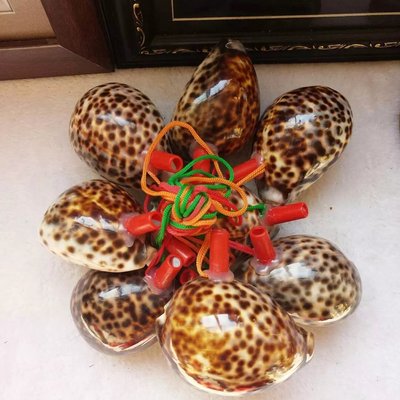 多种样子天然贝壳海螺哨子工艺品儿童玩具号小礼物摆地摊货源热卖
