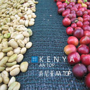 咖啡熟豆肯尼亚AA Kamugiri精品咖啡豆新鲜烘焙半磅227g装
