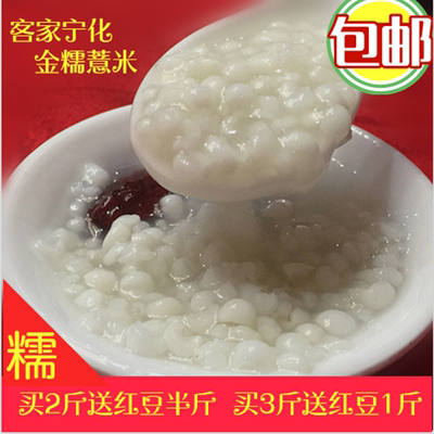 宁化薏米 药食同源500g薏仁清暑养生糯薏米农产品 五谷杂粮 干货