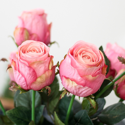 仿真玫瑰花装饰花绢花假花单支开茧玫瑰客厅餐桌摆放花艺家居饰品