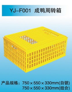 YJ-F001 成鸭周转箱 家禽养殖设备结实耐用塑料周转箱 厂家直销