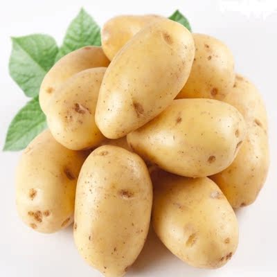 湖北农家自种特产有机新鲜土豆非转基因马铃薯洋芋蔬菜5斤小土豆