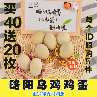 七彩蛋乌鸡蛋绿壳蛋土鸡蛋柴鸡蛋农家自养草鸡蛋*买40送20枚包