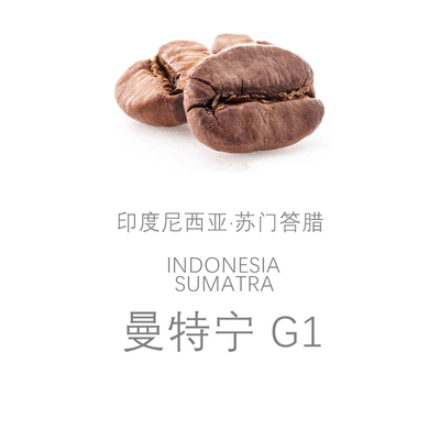 曼特宁咖啡豆印度尼西亚苏门答腊精品咖啡豆新鲜烘焙半磅227g装