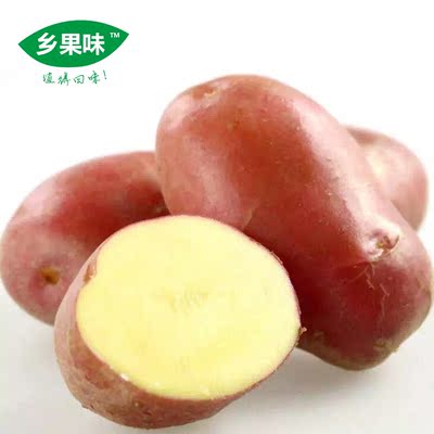 土豆湖北特产新鲜土豆5斤马铃薯红皮黄心大土豆 洋芋