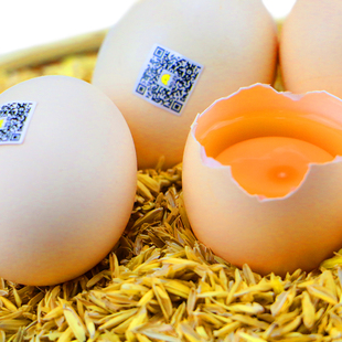 土鸡蛋秀山农家散养自养20枚新鲜草鸡蛋笨鸡蛋包邮月子蛋柴鸡蛋