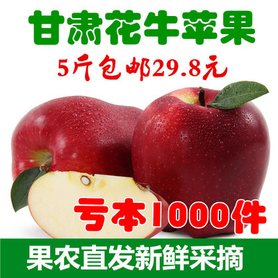 西北特产天水花牛苹果新鲜水果农家现摘蛇果红元帅苹果5斤特价