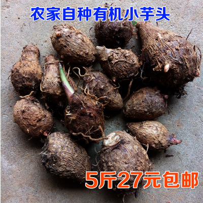 2016江西农家 毛芋头5斤包邮自种 香芋 现挖现卖新鲜 小芋头