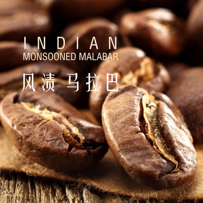 咖啡熟豆风渍马拉巴印度季风豆 半磅227g装