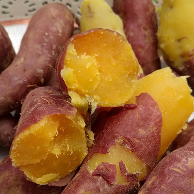 农家特产现挖地瓜黄心 红薯 生番薯 8斤新鲜蔬菜小香薯包邮坏包赔