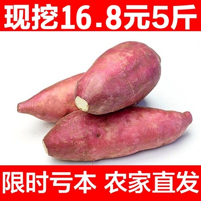现挖新鲜红薯黄白心地瓜番薯小香薯自种番薯地瓜5斤16.8元包邮