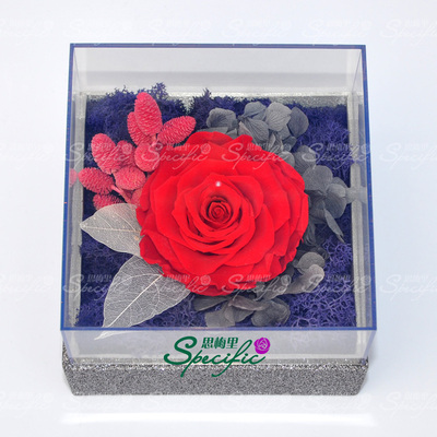 红玫瑰永生花花鲜花透明礼盒母亲节七夕求婚生日礼物全国顺丰速递