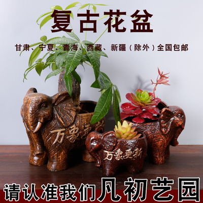 万象更新大象花盆 创意动物花盆器 大中小号 陶瓷花盆摆件