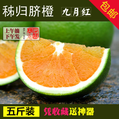 湖北三峡宜昌秭归新鲜水果橙子脐橙 九月红5斤包邮 孕妇榨汁橙子