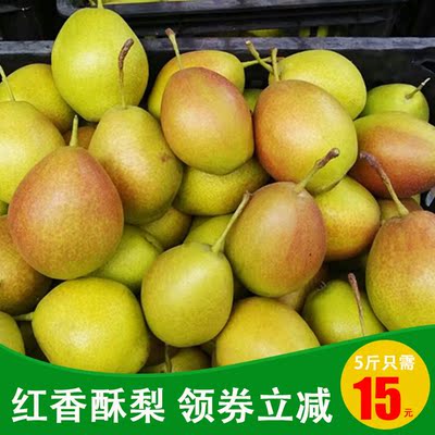 江苏徐州红香酥梨5斤装包邮 2016年新品香甜可口汁水多原产地直发