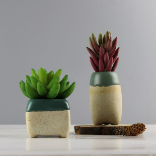 多肉植物花盆粗陶绿植物陶瓷简约个性创意迷你小花盆陶瓷盆栽
