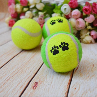 狗狗玩具网球 耐咬金毛泰迪比熊磨牙猫玩具宠物玩具小狗网球玩具