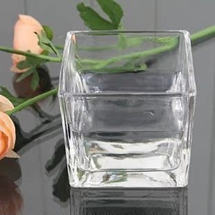正方形水培玻璃器皿 透明方缸绿萝 睡莲 铜钱草 水培花盆玻璃花瓶