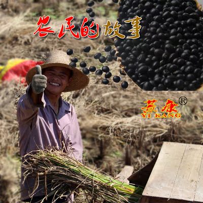 宁化客家金糯薏康绿芯黑豆农家自产黑豆粗粮纯天然绿心养生500g