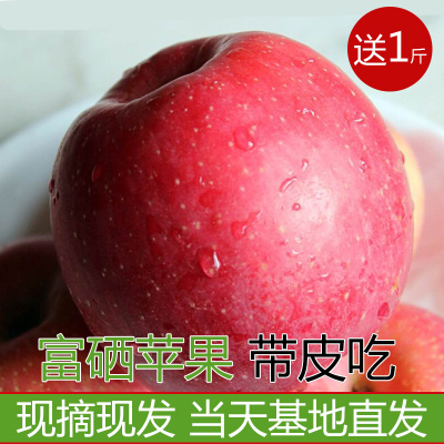 【红不落】山西新鲜富硒富士苹果特级100mm以上5斤包邮 买五送一