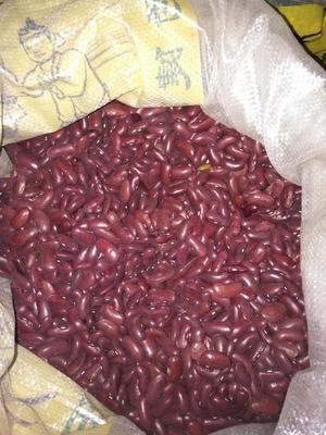 农家自产芸豆一斤