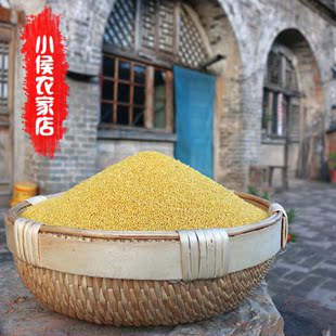 山西泽州黄小米太行山农家自产小黄米月子米宝宝米250g 5斤包邮