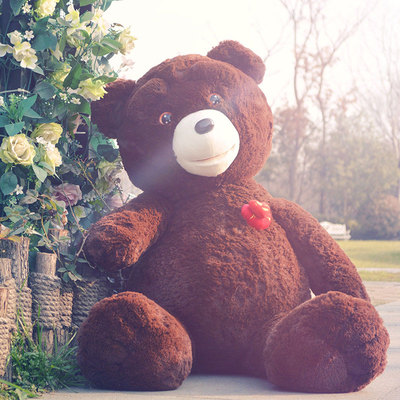 美国大熊公仔录音泰迪熊毛绒玩具2米熊1.6米抱抱熊七夕情人节礼物